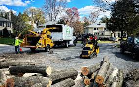Best Firewood Processing and Delivery  in Stallion Springs, CA